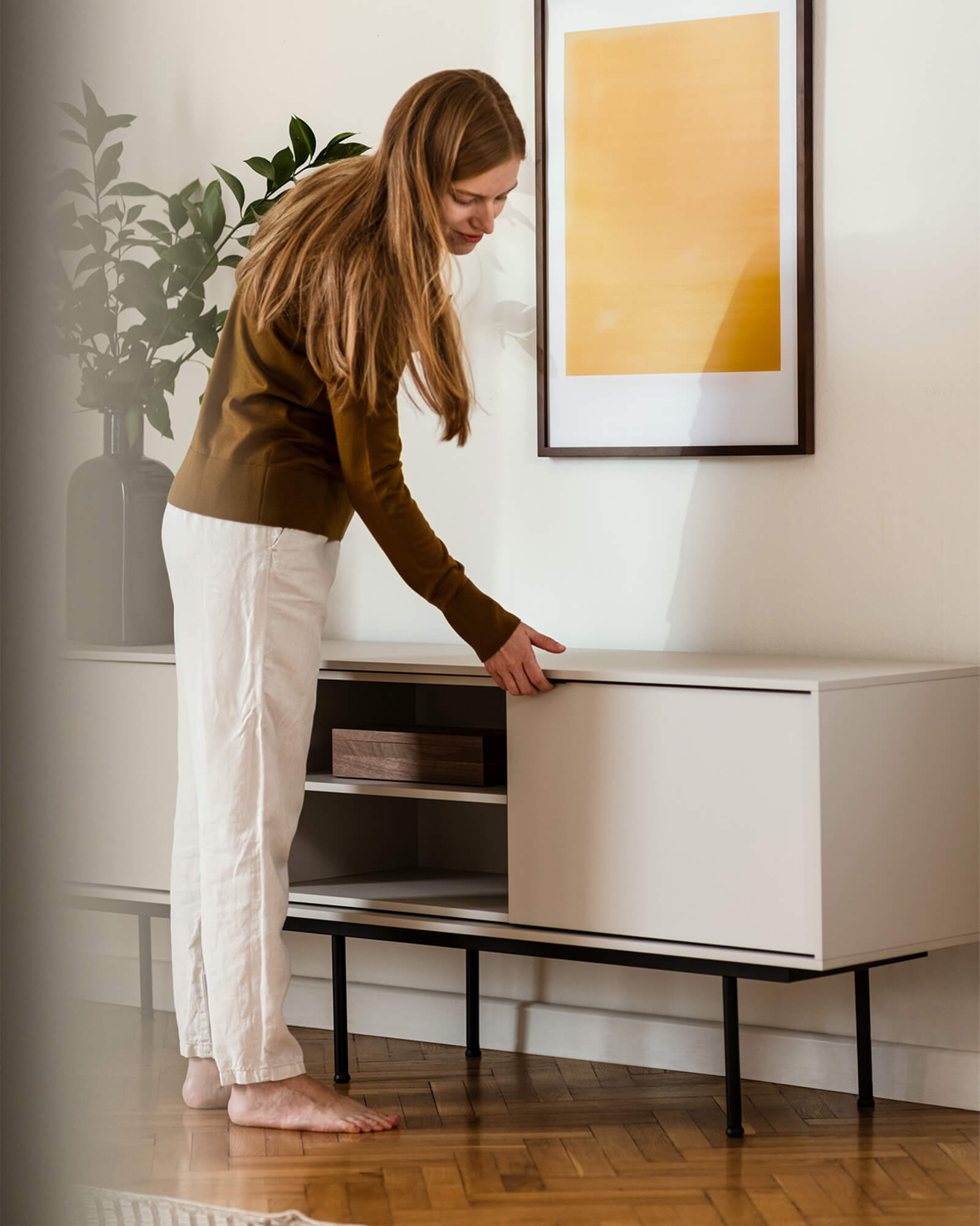 Mod TV Stand