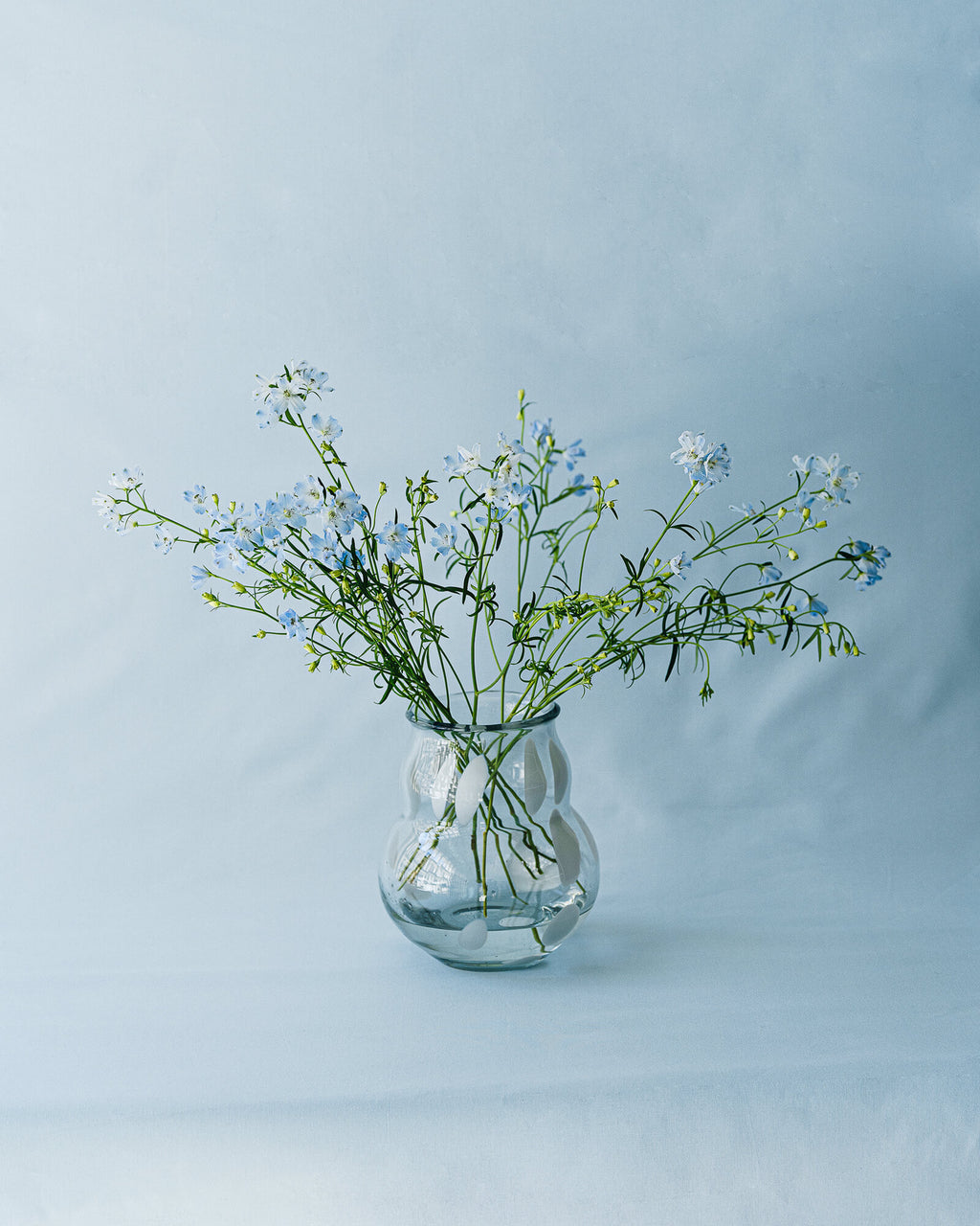 Dam Vase