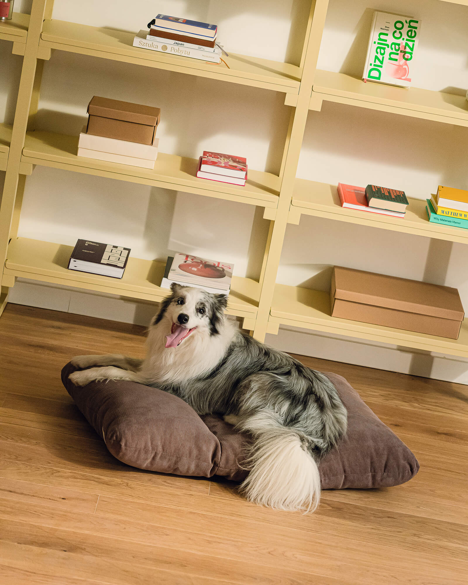 Luvi Pet Bed - large