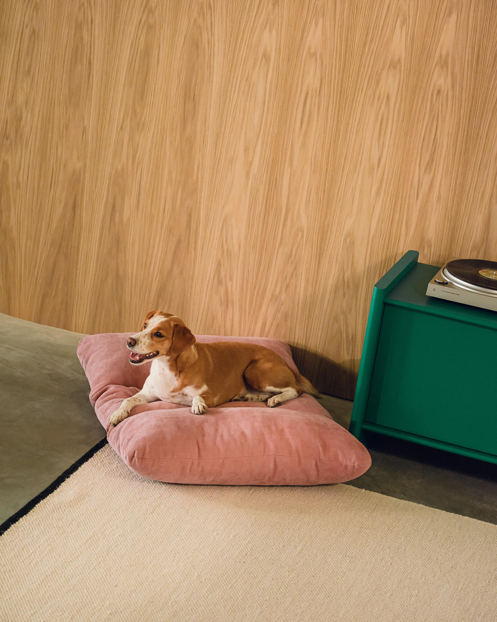 Luvi Pet Bed - large