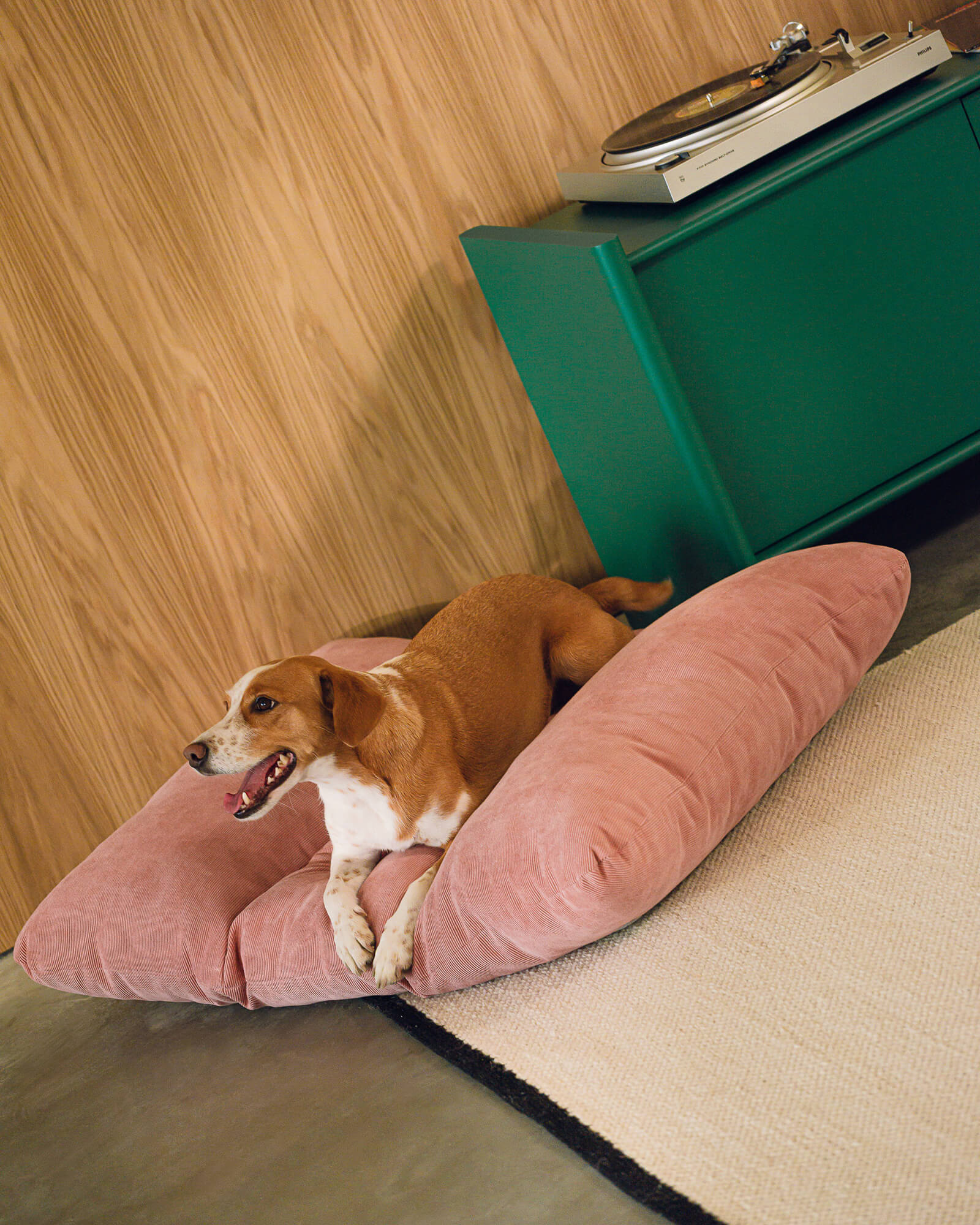 Luvi Pet Bed - large