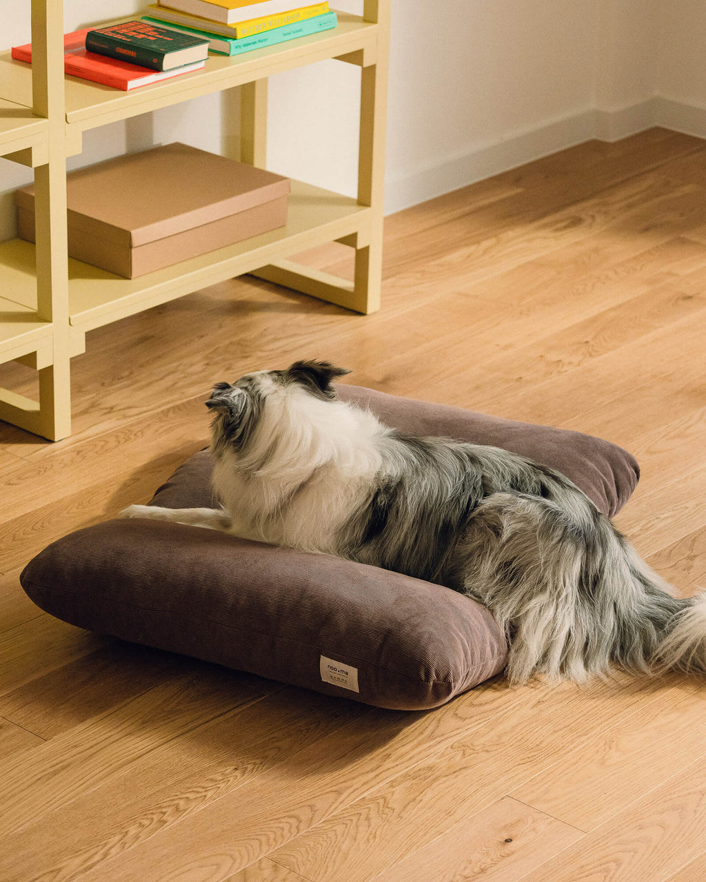 Luvi Pet Bed - large