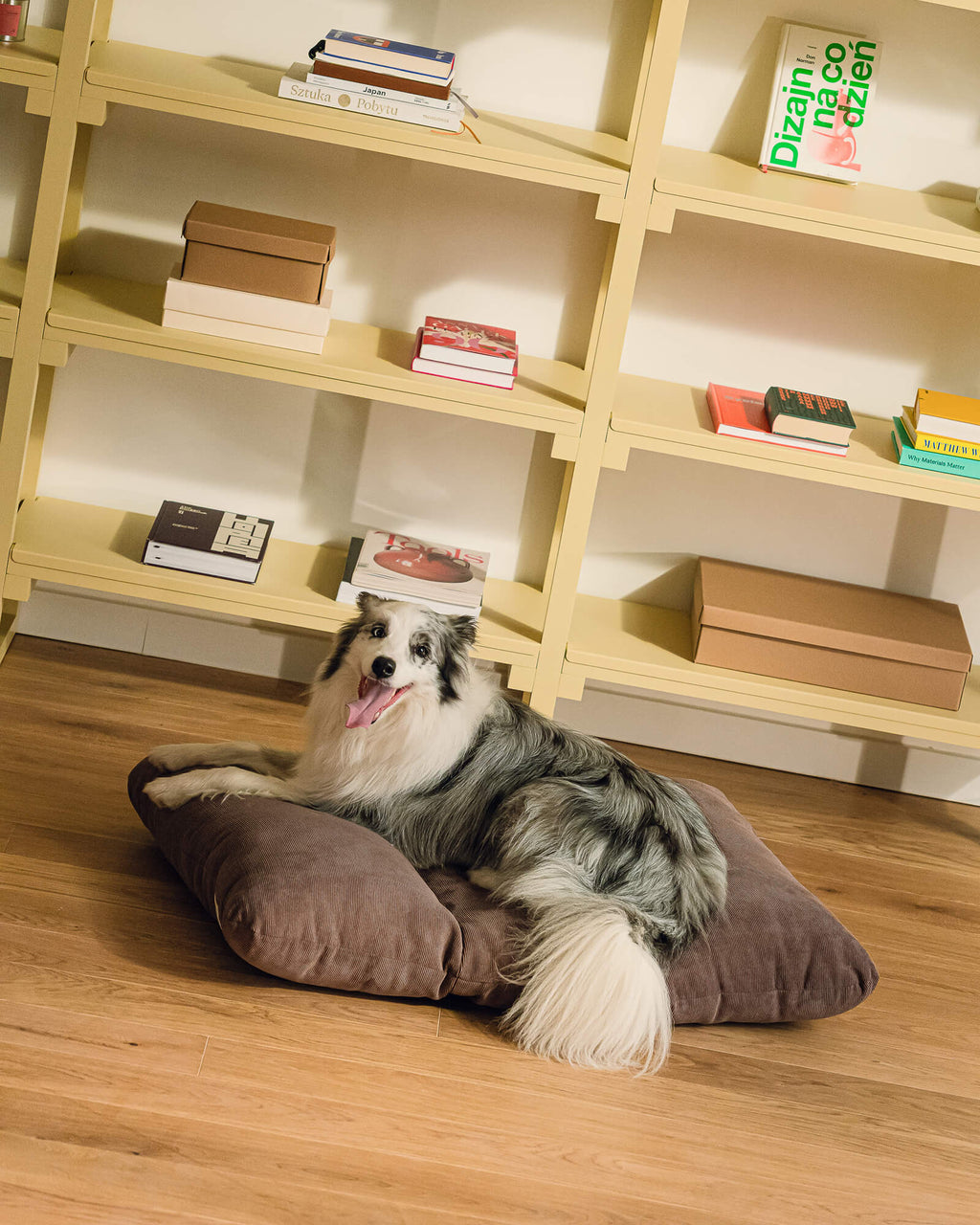 Luvi Pet Bed - large