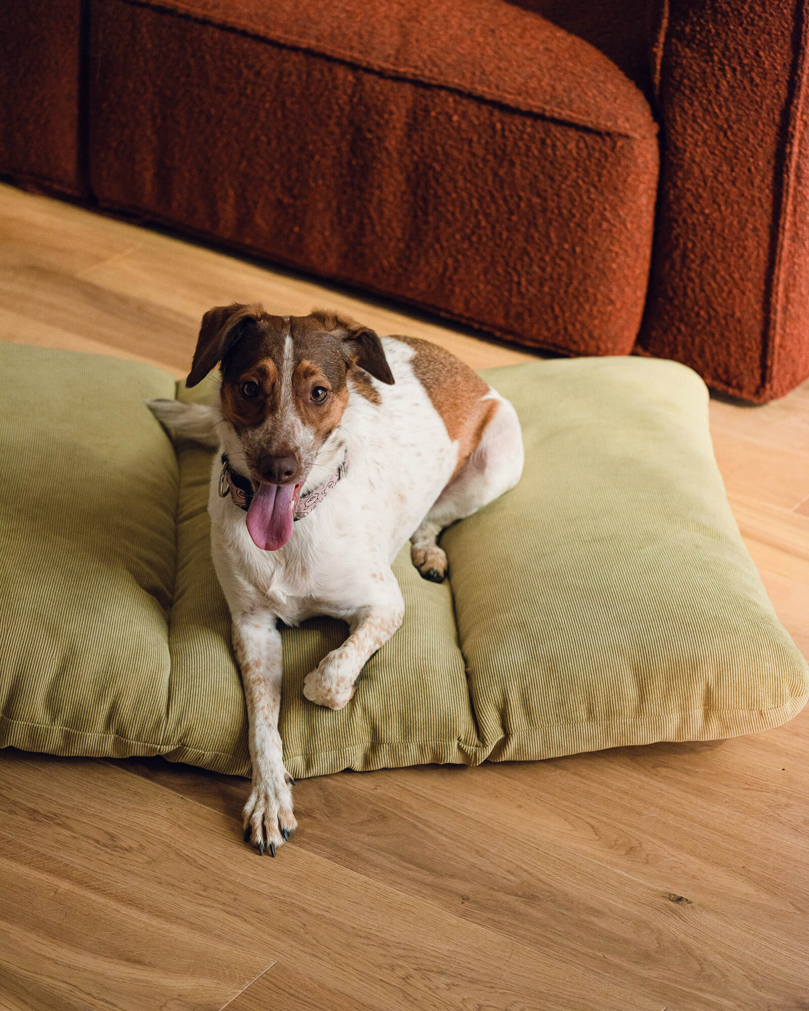 Luvi Pet Bed - large