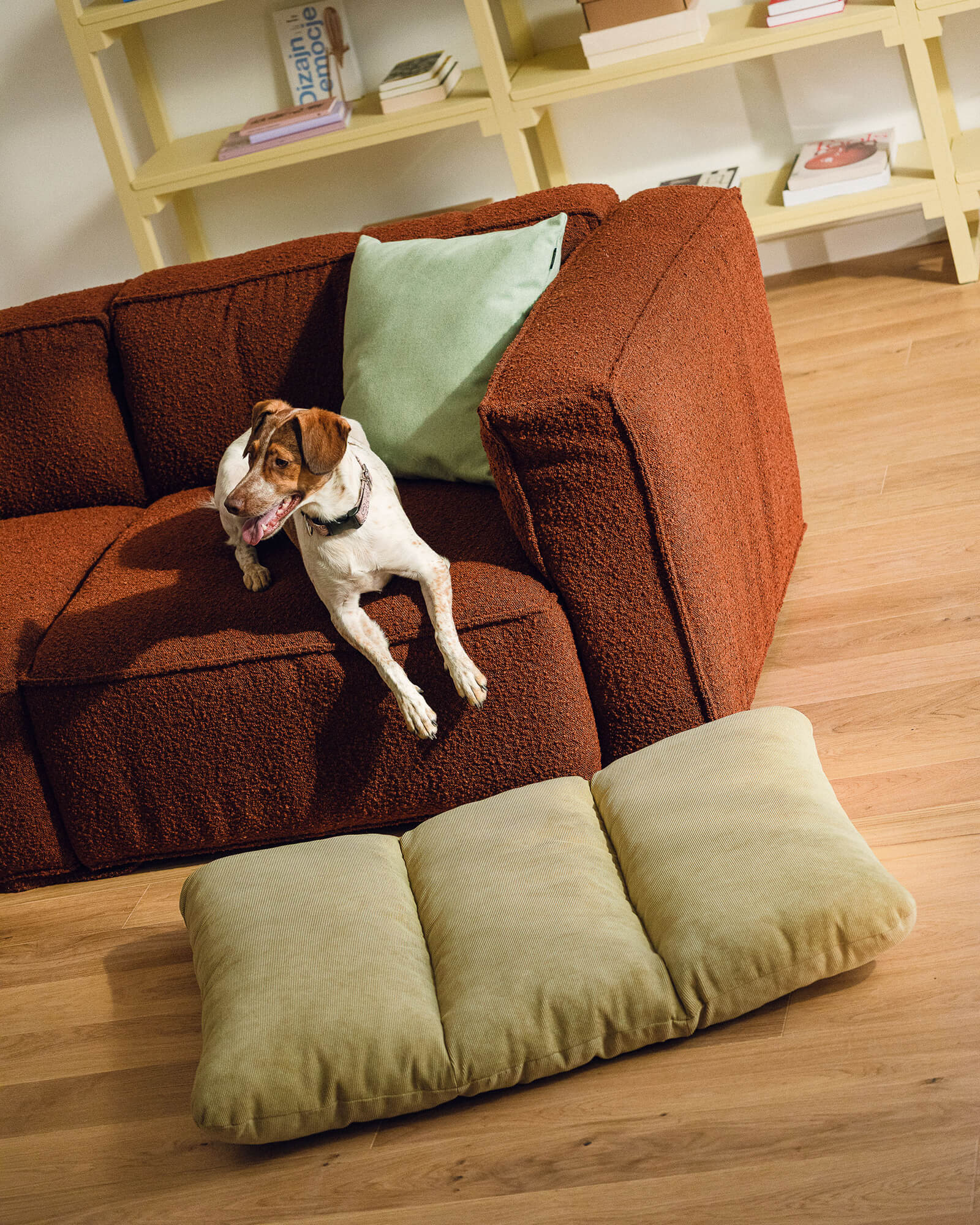 Luvi Pet Bed - large