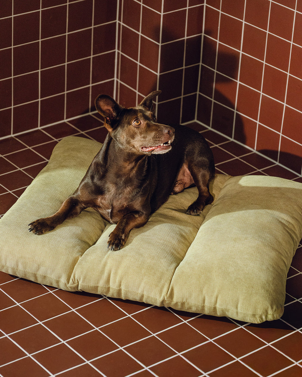 Luvi Pet Bed - medium