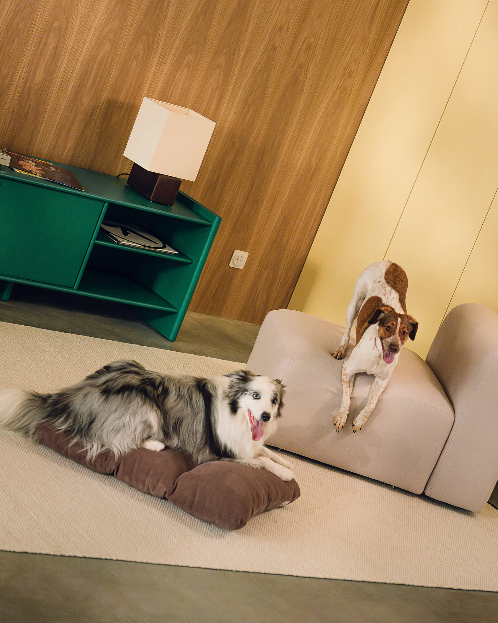 Luvi Pet Bed - medium
