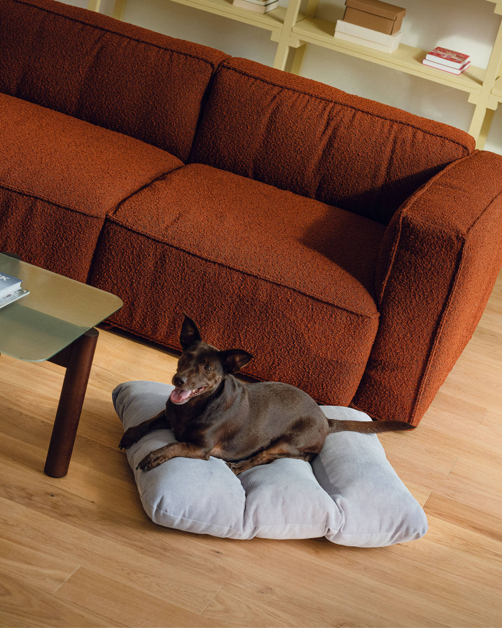 Luvi Pet Bed - medium