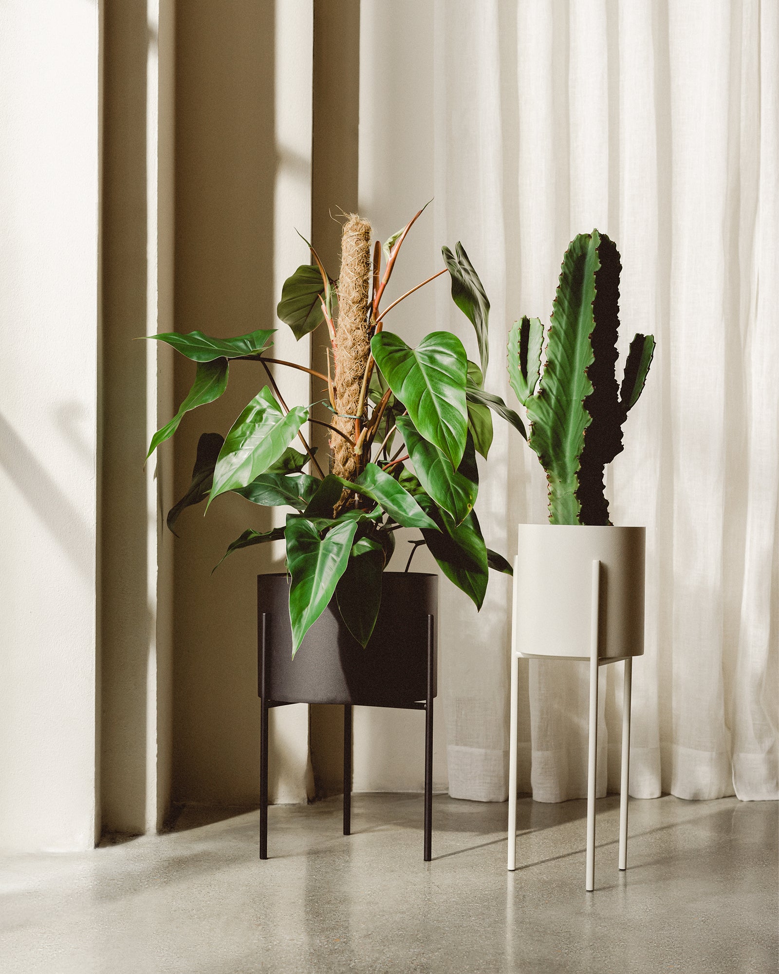 Maki Wide & Tall Bundle