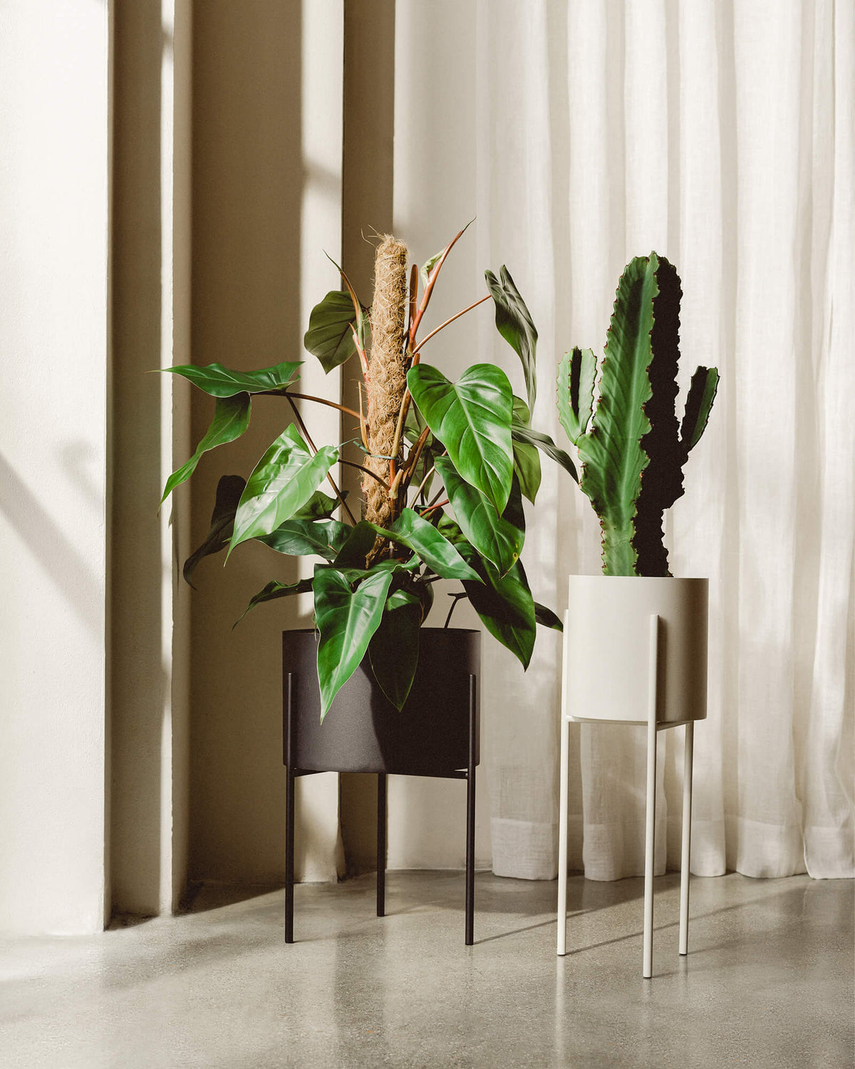 tall indoor plant pots uk Maki Plant Pot