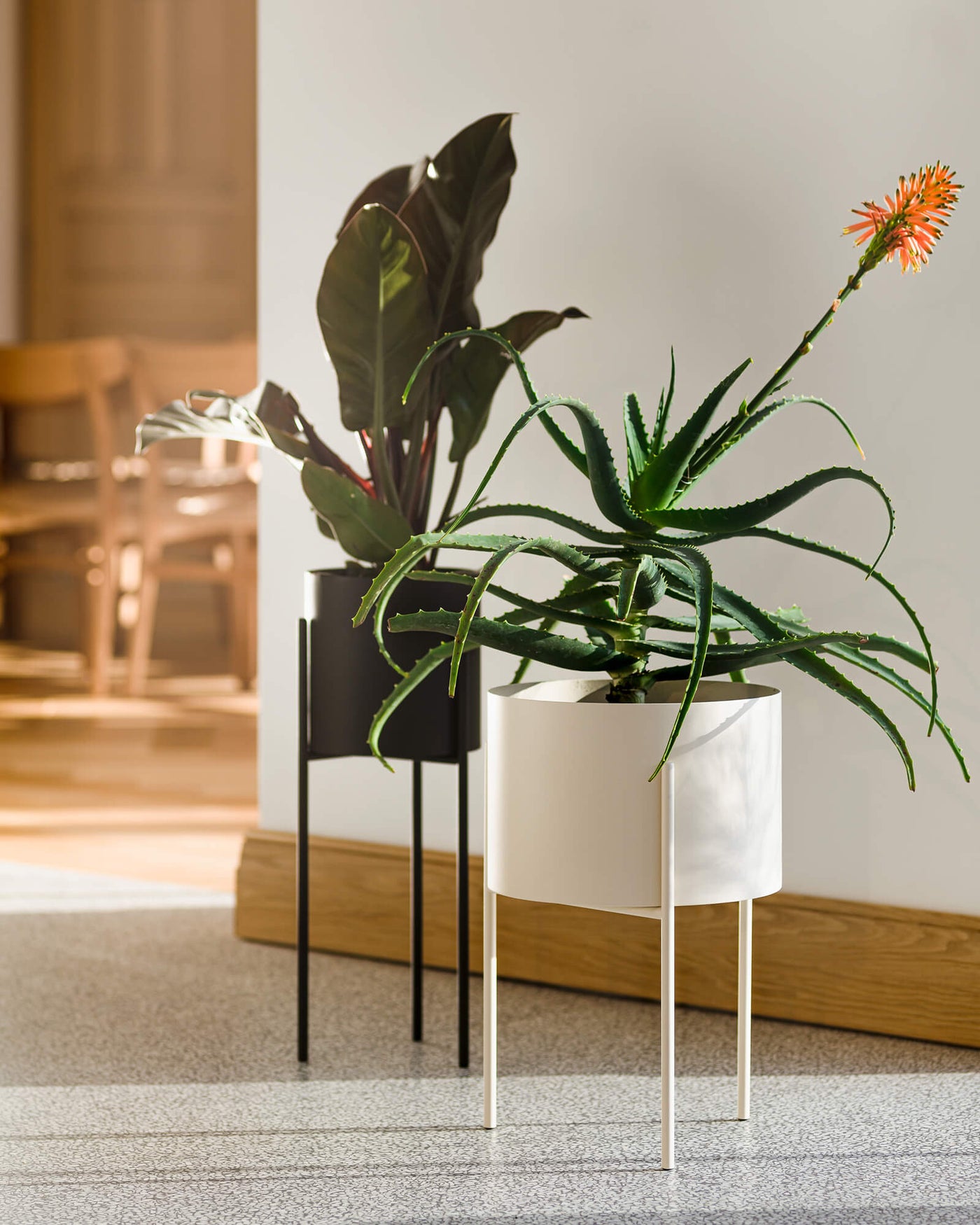 Maki Plant Pot - wide