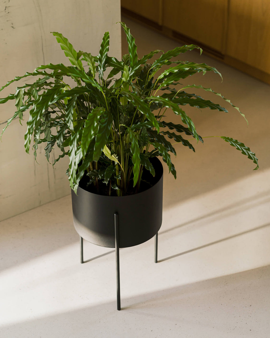 Maki Plant Pot - wide