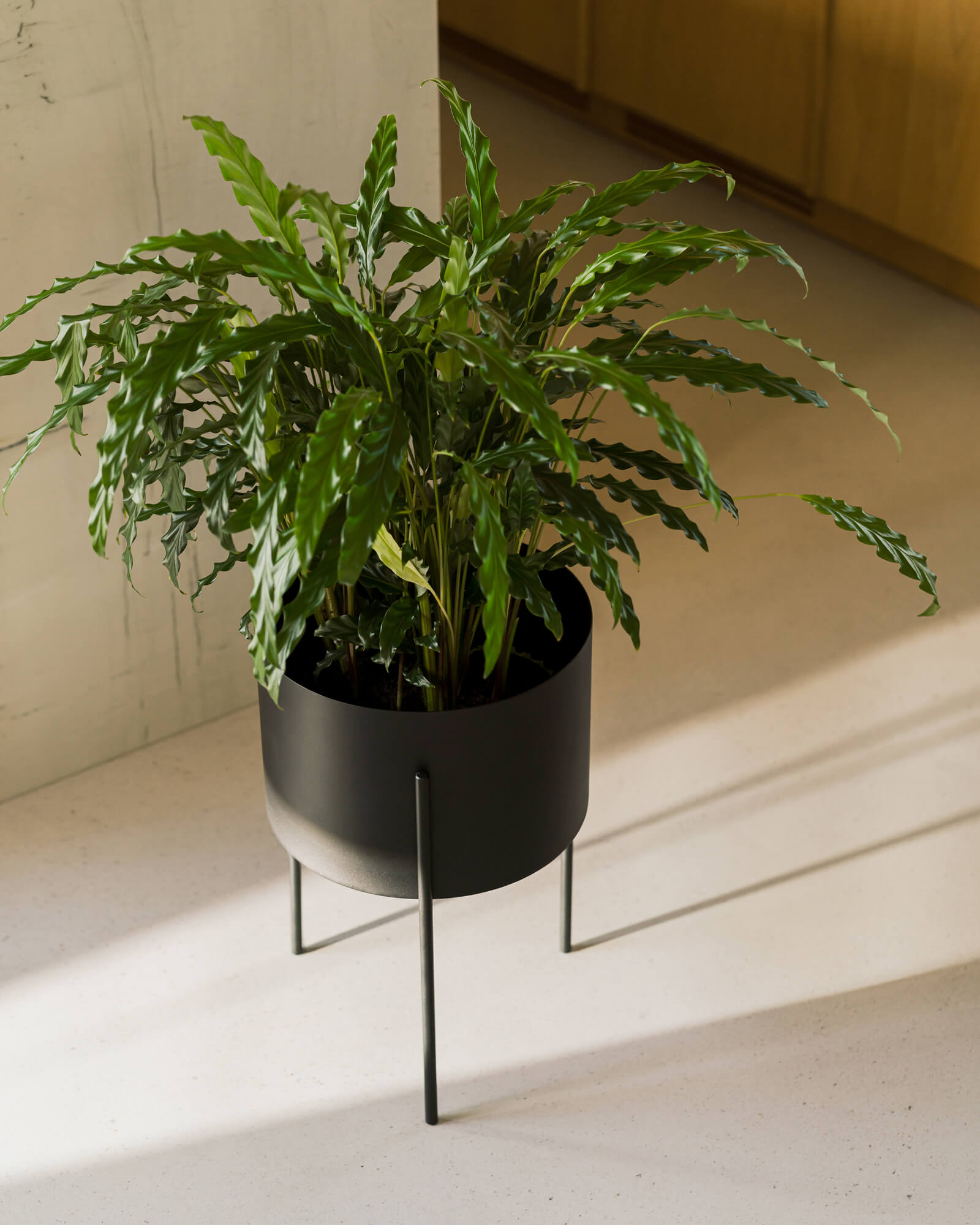 Maki Plant Pot - wide