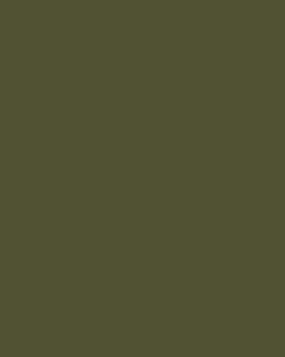 Wood & Plywood Lacquer Sample – Forest Green