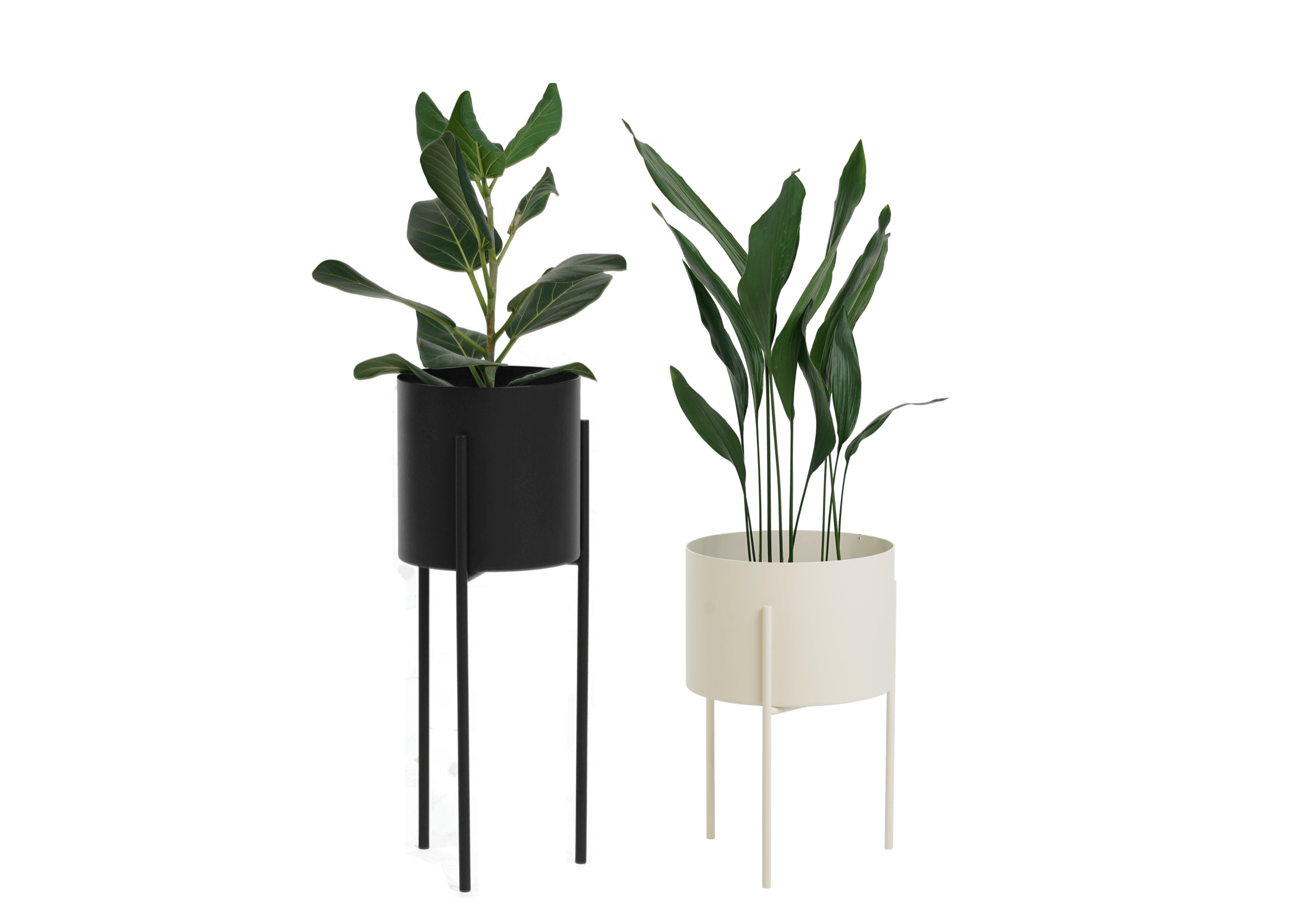 2x Maki Plant Pot - Wide & Tall Bundle
