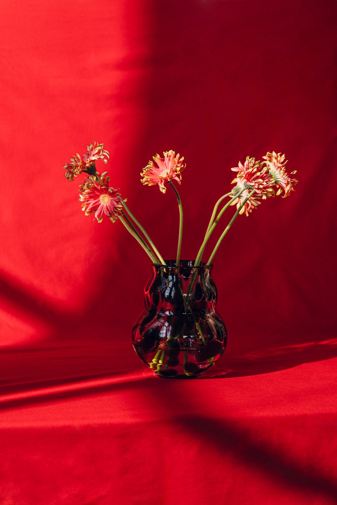 Dam Vase
